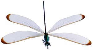 葫蘆島市服飾有限責任公司