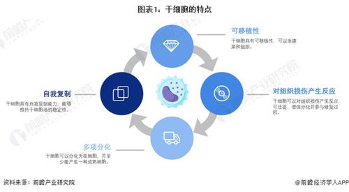干細胞技術(shù)最新預(yù)測 裴鋼院士強調(diào)前沿生物醫(yī)藥產(chǎn)品開發(fā)需確保三大核心要素